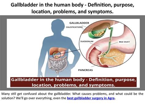 Human Gallbladder: Meaning, Function, Location, Problems, and Warning ...