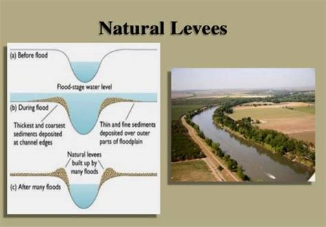 Natural Levees: Depositional Landforms - QS Study