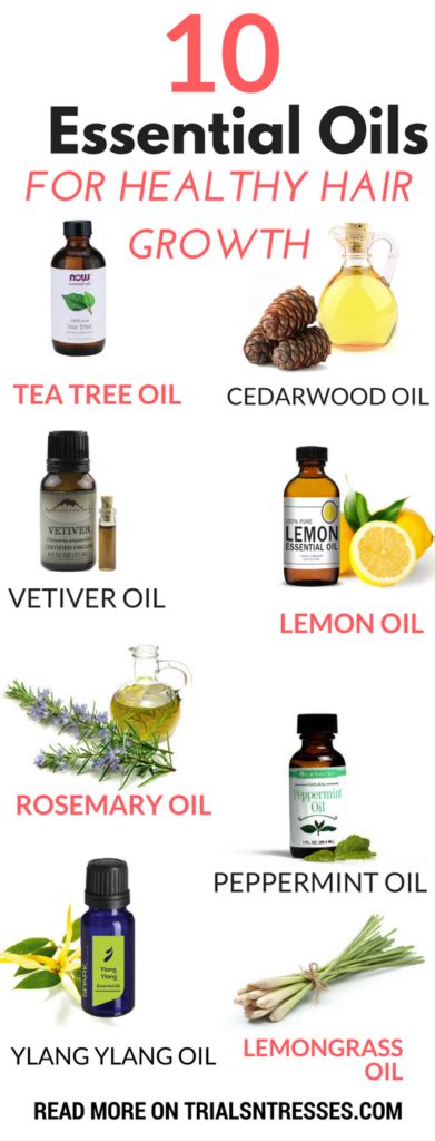 10 Best Essential Oils For Healthy Hair Growth - Millennial in Debt