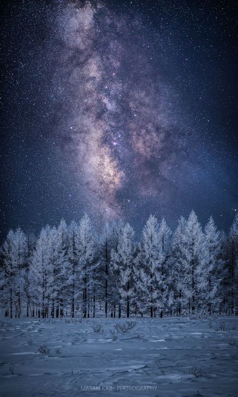 Milky Way over a Winter tree by Masaki Kaji on 500px | Winter trees ...