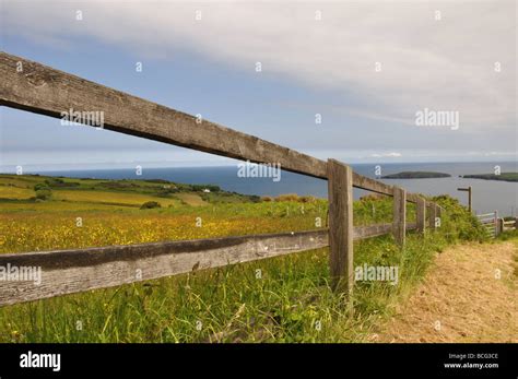 Cardigan Island Pembrokeshire Coastal Path Stock Photo - Alamy