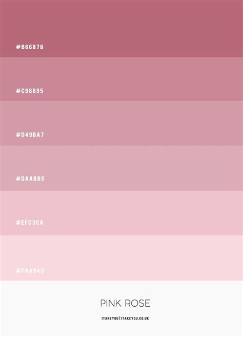 Pink Rose Colour Scheme #Colour Palette 67 | Color palette pink, Hex ...