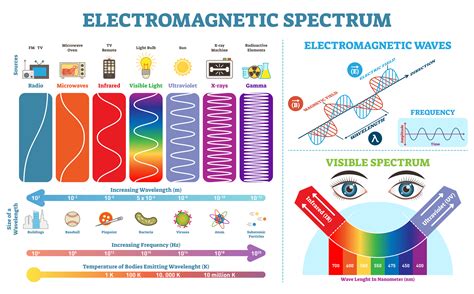 What is the ELECTROMAGNETIC SPECTRUM | MooMooMath and Science