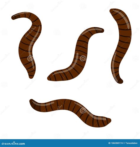 Leech. Set Of Bloodsucking Insects Vector Illustration | CartoonDealer ...