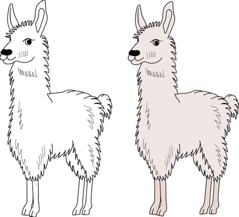 Premium Vector | Cute cartoon llama for kid's coloring book