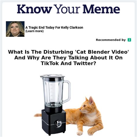 What Is The Disturbing 'Cat Blender Video' And Why Are They Talking ...