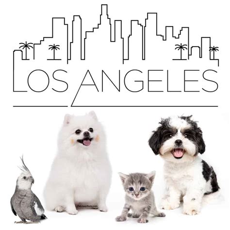 Pet Classifieds Los Angeles - Buy, Sell, Adopt Pets | PetClassifieds.com