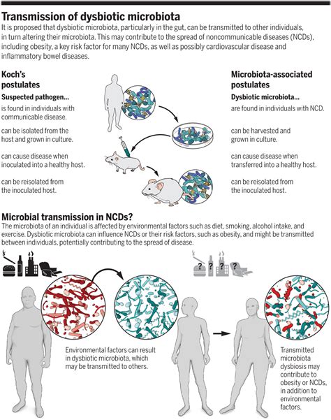 Communicable Vs Non-communicable Diseases- Definition, 17, 46% OFF