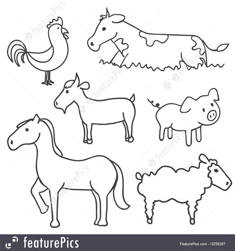 How To Draw Domestic Animals Step By Step - alter playground