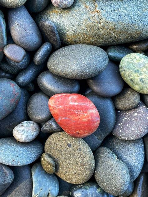 32791. Beach Rocks: An Afternoon at Rialto Beach on the Washington ...