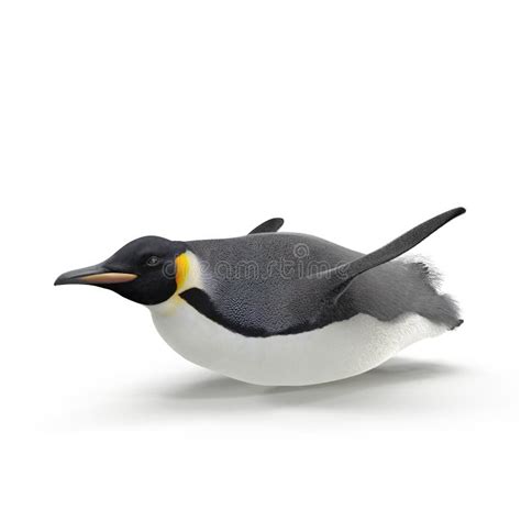 Emperor Penguin Sliding