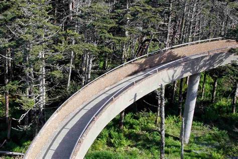 Clingmans Dome Hiking Trail