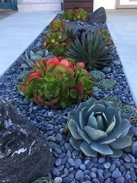 Landscaping — SQUARED ROOT LANDSCAPING & DESIGN | Succulent garden ...