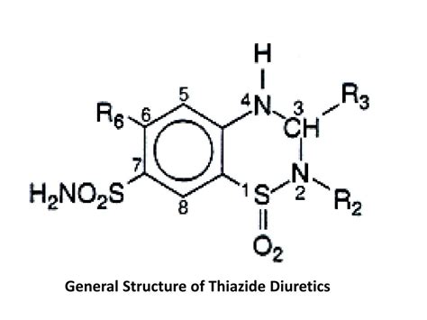 PPT - THIAZIDE DIURETICS PowerPoint Presentation, free download - ID ...