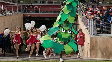 Stanford Tree mascot suspended for holding 'Stanford hates fun' sign ...