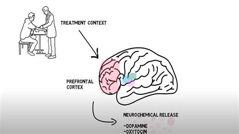 The Neuroscience Behind the Placebo Effect