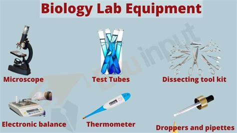 Laboratory Equipment | Laboratory Apparatus for Various Disciplines: A ...