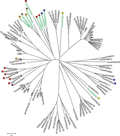 Radial phylogenetic tree of the hard tick lipocalin family. The tree ...