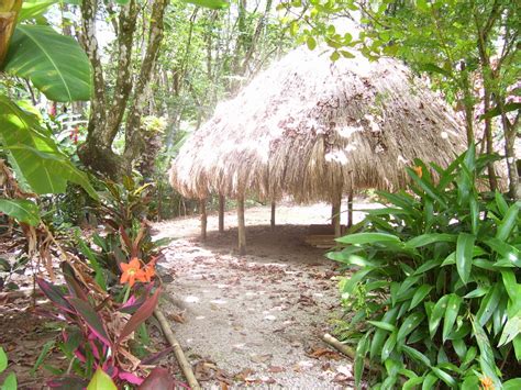 Kalinago History (Carib) - 3 Rivers & Rosalie Forest : Dominica's ...