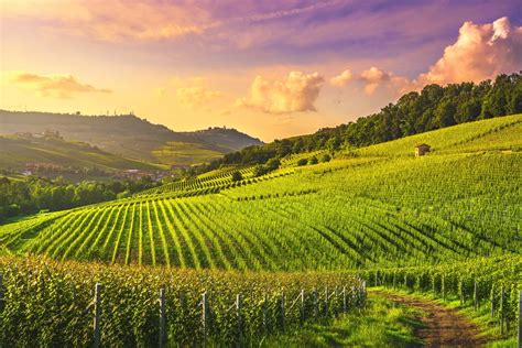 Wine Regions in Italy: Scenery, Cities, and Signature Wines | kimkim