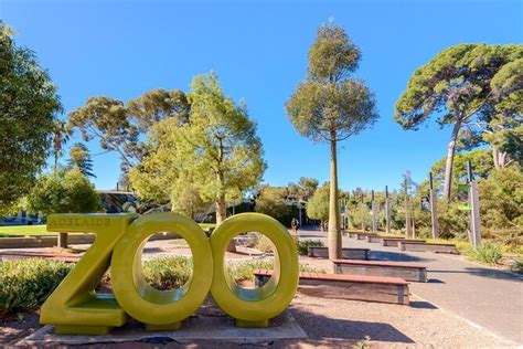 Adelaide Zoo Opening Hours: Plan Your Visit Today! – Hello Kids Fun