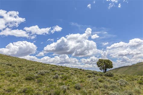 Nevada Landscape Photography