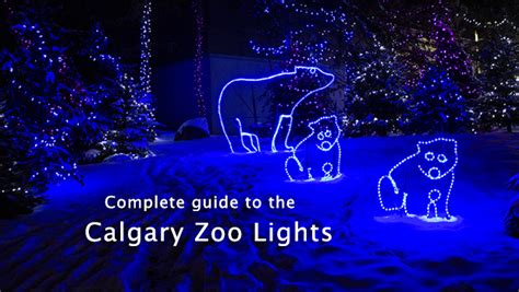 Complete Guide to the Calgary Zoo Lights