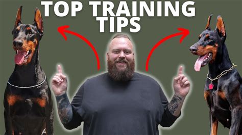 3 TIPS FOR TRAINING YOUR DOBERMAN - YouTube