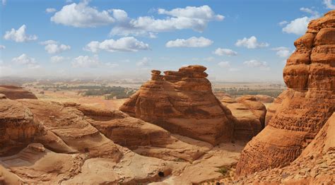 Camel carvings in Saudi desert could be 7,000 years old: Study | Daily ...