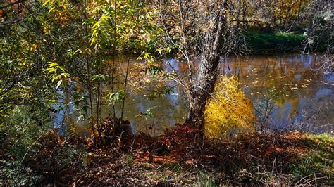 Sedona—banks of Oak Creek, November 12 | Camp Avalon, Sedona… | Flickr