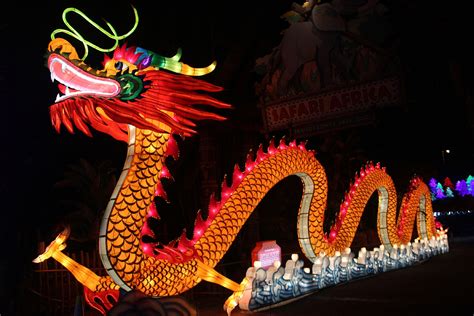 The Giant Lanterns of China highlight the bond between two cultures