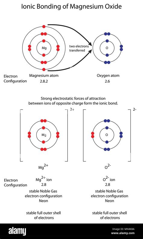 Diagram to show ionic bonding in magnesium oxide Stock Vector Image ...