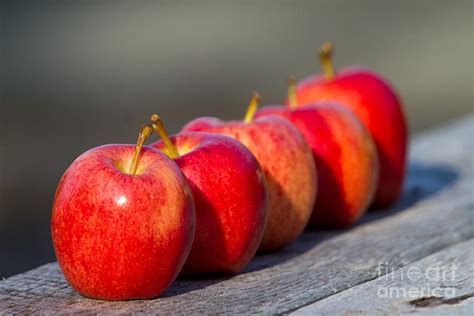 Five Apples Photograph by John Harmon - Fine Art America