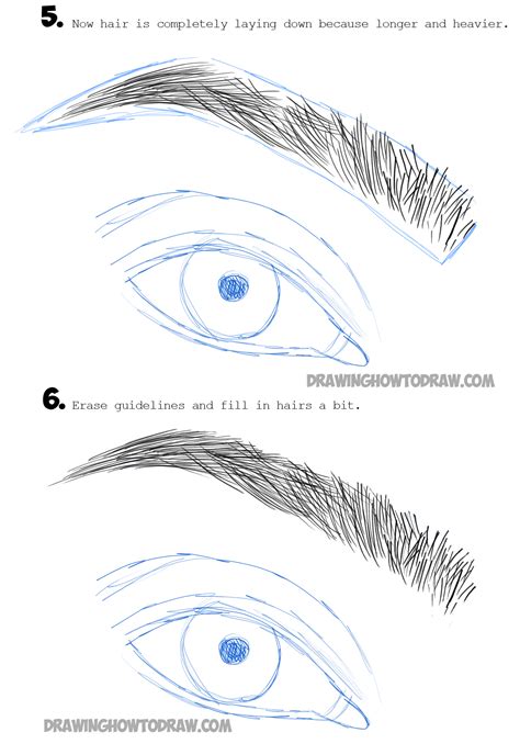 How to Draw Eye Brows Step by Step Drawing Tutorial - How to Draw Step ...