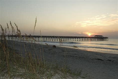 Myrtle Beach State Park: Top 6 Things to Do - iTripVacations