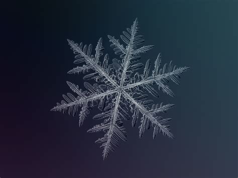 Macro Photography of Snowflakes [13 Pics] | I Like To Waste My Time