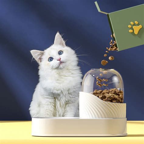 7 of the Best Automatic Pet Feeders to Make Sure Your Cat or Dog Eats ...