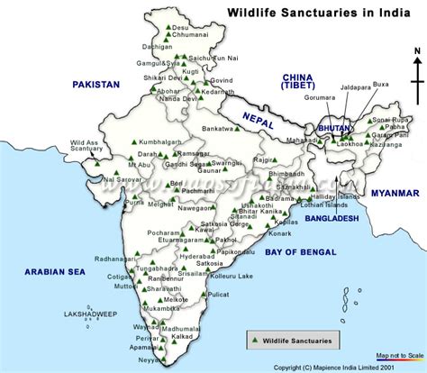 Kerala: Periyar Wildlife Sanctuary