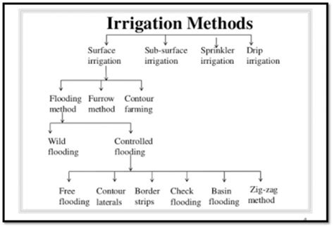 Different Types of irrigation & Irrigation Systems