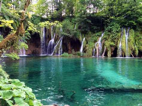 Free Images : tree, forest, waterfall, pond, jungle, body of water ...