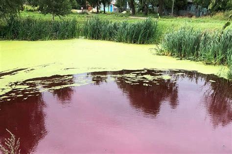 A river in Russia turned the colour of blood overnight | Daily Star