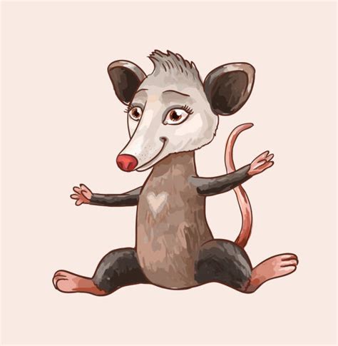 Possum Cartoon Animal Characters Illustrations, Royalty-Free Vector ...