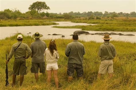 Wildlife safaris in Botswana | Expert Africa