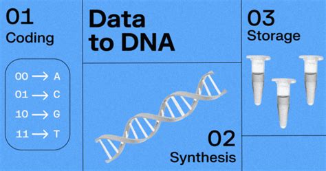 DNA Data Storage: The Next Chapter