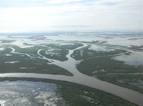 Picture1 - Restore the Mississippi River Delta