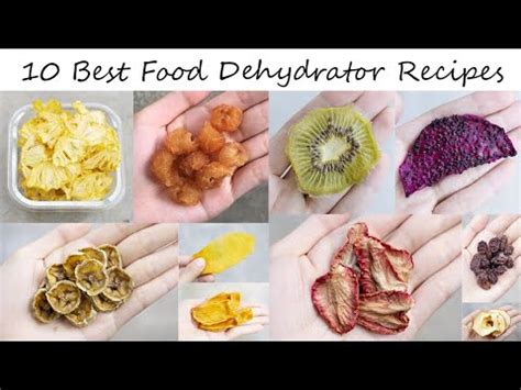 Excalibur Dehydrator Recipes | Dandk Organizer