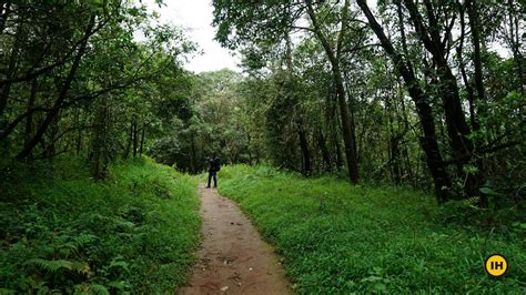 Tadiandamol Trek - Trek to the Highest peak in the Kodagu district