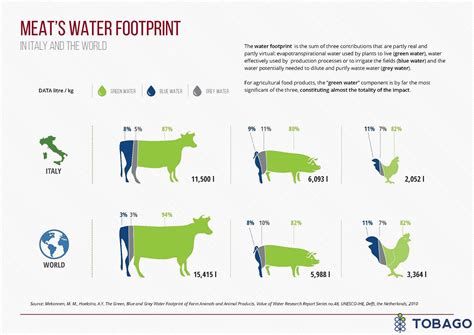 What is a water footprint?