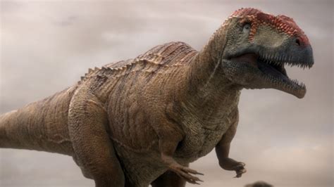 Mapusaurus | Planet Dinosaur Wiki | Fandom