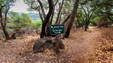 Trail Info – Skyline Wilderness Park